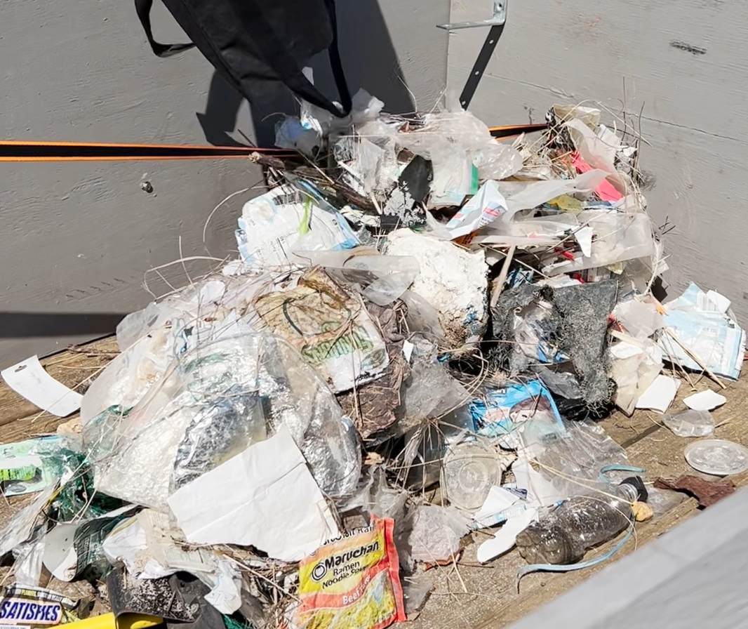 Daily Update Earth Day 2024 — Get dirty to help keep Mother Earth