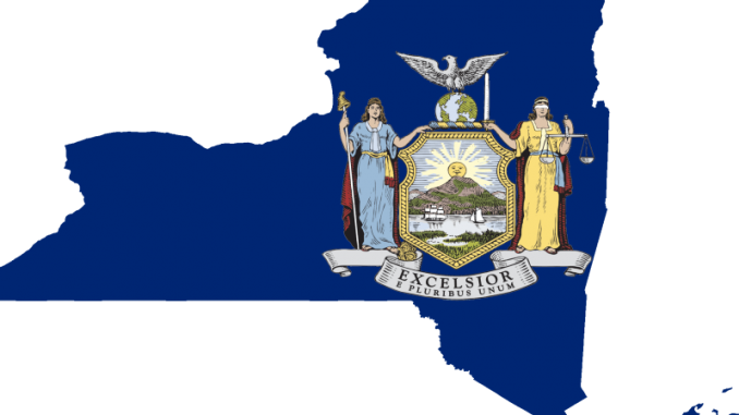 Column_Kremer_051421.NewYorkState.png