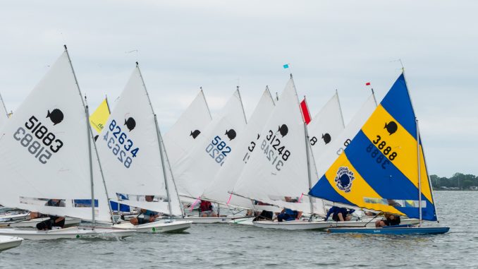 SYC-Sunfish-22.jpg