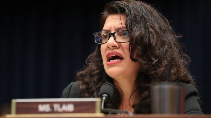 tlaib-1024x630.jpg