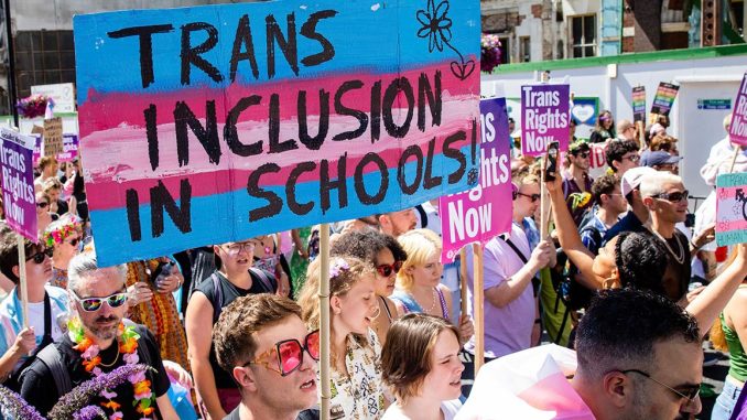 transschools.jpg