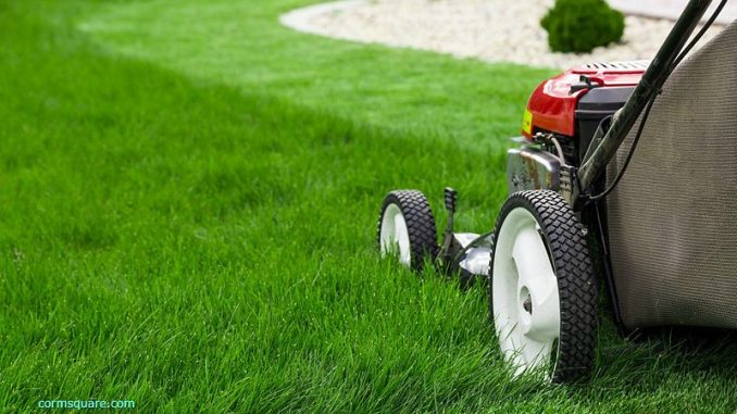 Column_Ralph_BrownLawns_091622.Prasannanossam3.jpg