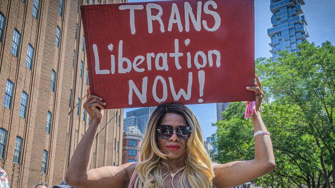 Trans-Liberation-Now.jpg