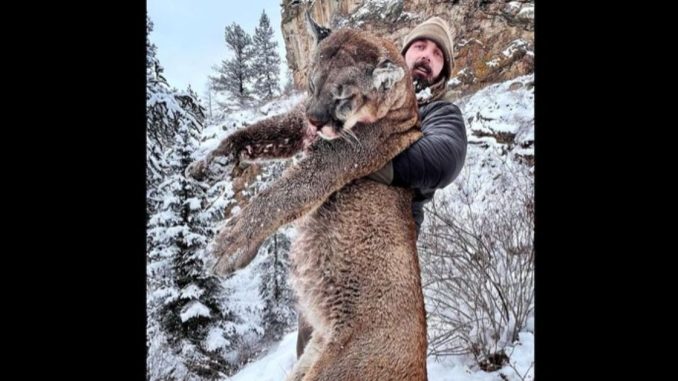 NFL Champ Kills Giant Mountain Lion, Environmentalists Get Up in Arms and Make Fools of Themselves