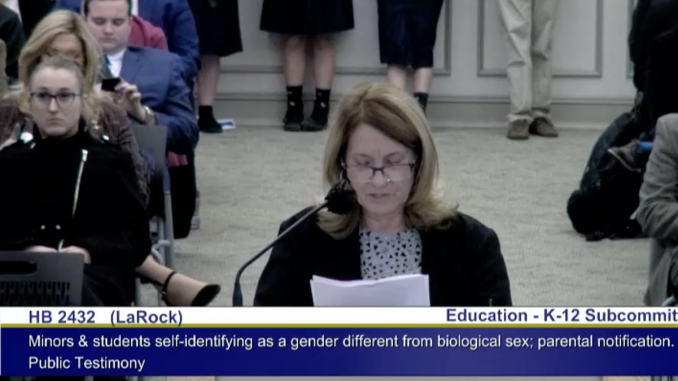 Michele-mother-of-Sage-testifying-Sages-law.png