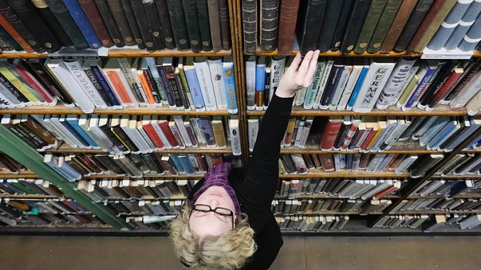 librarian.webp.webp