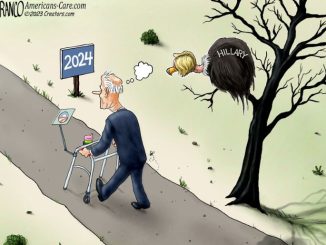 Vulture Politics