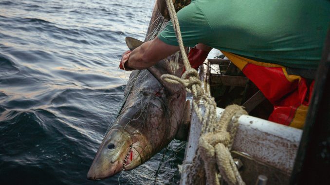 New-England-Fishermen-scaled.jpg
