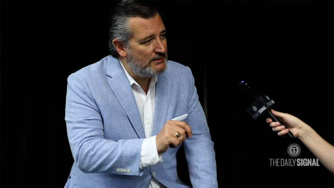 23.07.16_Cruz.png