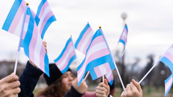 transgender-flags-edit.jpg