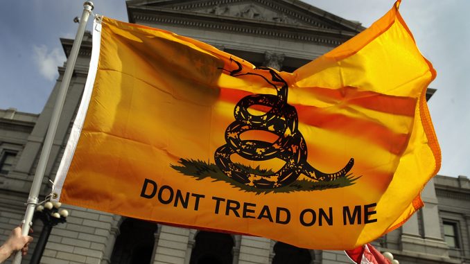 Gadsden-Flag.jpg
