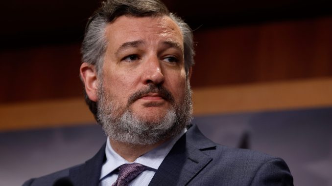 1695732745_230923_cruz-scaled.jpg