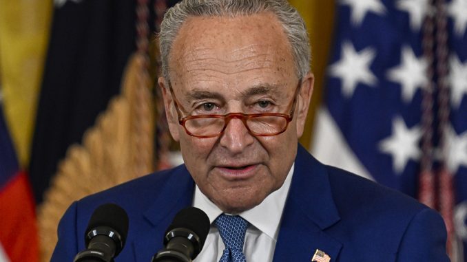 Chuck-Schumer-flag.jpg