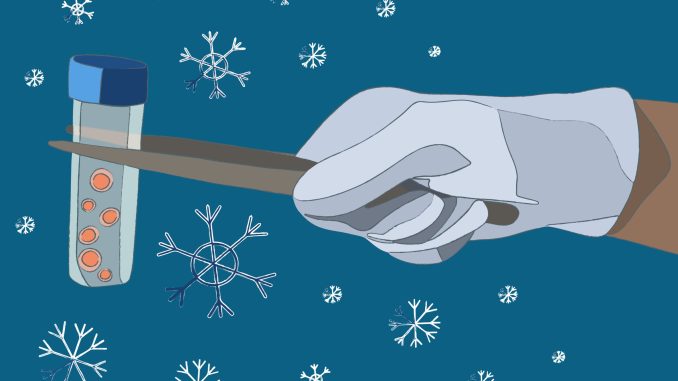 20240222_FrozenEmbryos-scaled.jpg