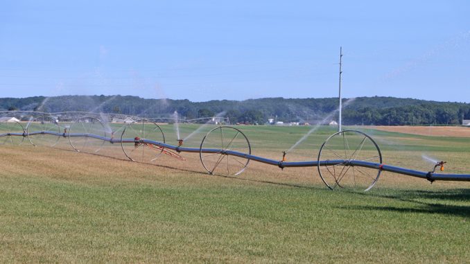 Riverhead_SodFarm_Irrigation_TS.jpg