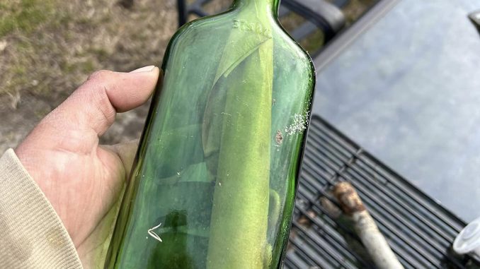 T0208_bottle_web.jpg