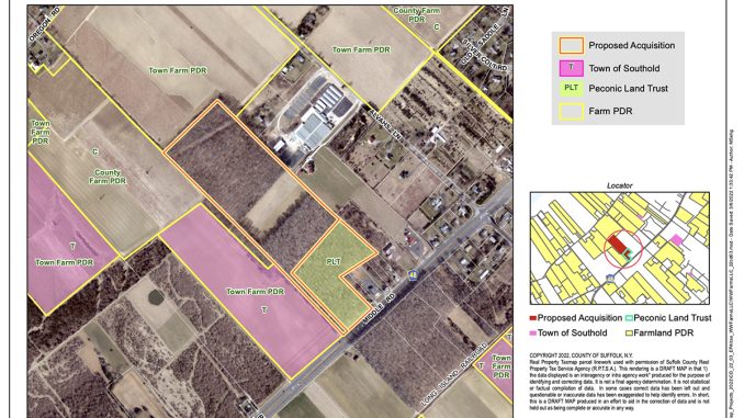 T0215_cutchoguepreservation_web.jpg