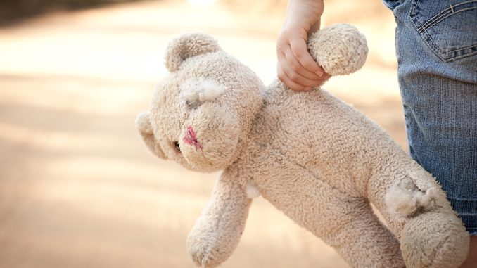 Teddy.jpg