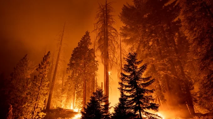 GettyImages-1235418773.webp.webp