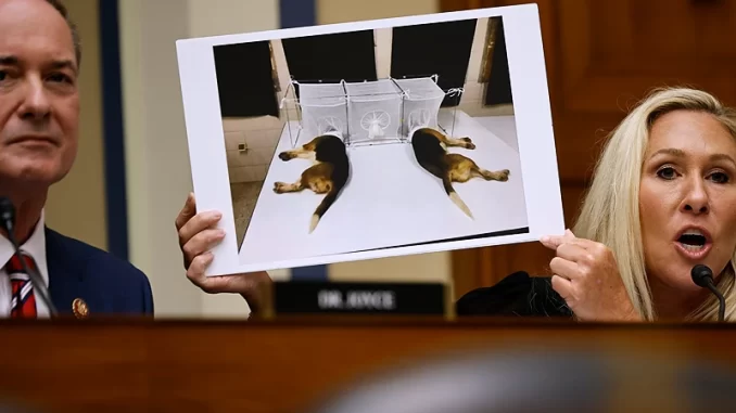 GettyImages-2155920063.webp.webp