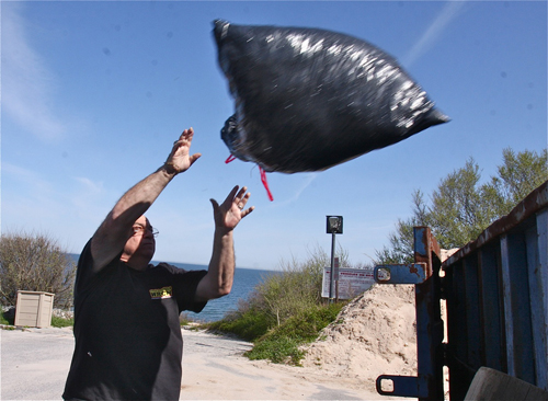 beach6.jpg