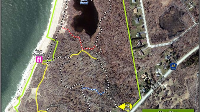 1728472422_TR1010_CountyBirdWalk_courtesy.jpg