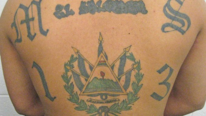 MS-13-e1474731596387.jpg