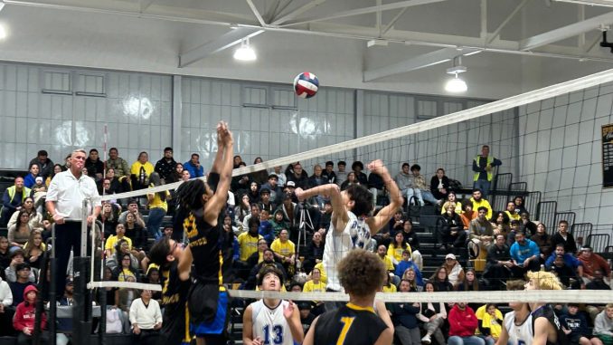 RoslynVBall.BenjiRubinpic.jpg