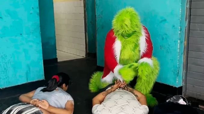 241224-grinch-arrests-wc-1003-9b8b7c.webp.webp