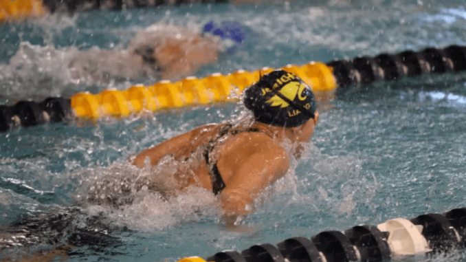 JerichoSwim.png