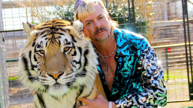 tiger-king-for-prez-1.png