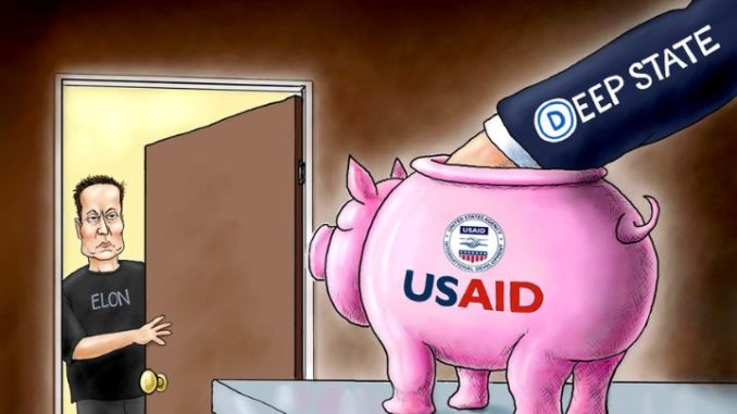 Swamp Fund